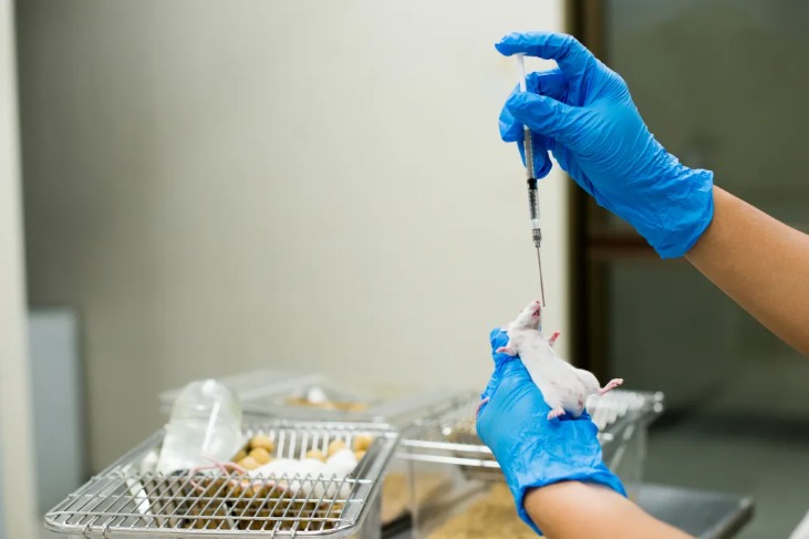 Qual o problema em se realizar testes em animais